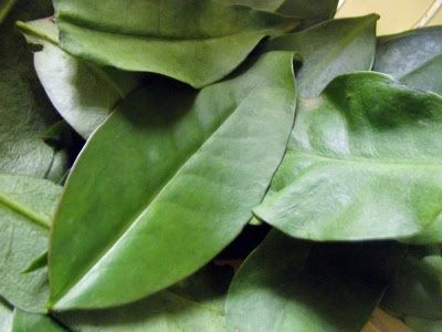 Ora Pro Nobis(orai por nós) porção - da Bica