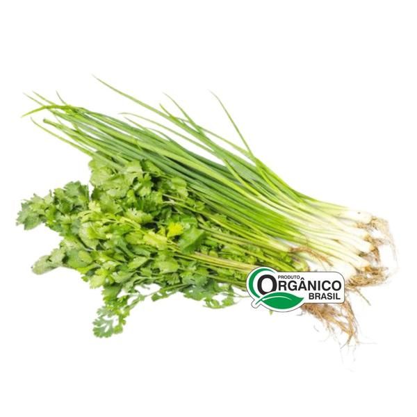 CHEIRO VERDE ORGÂNICO MAÇO