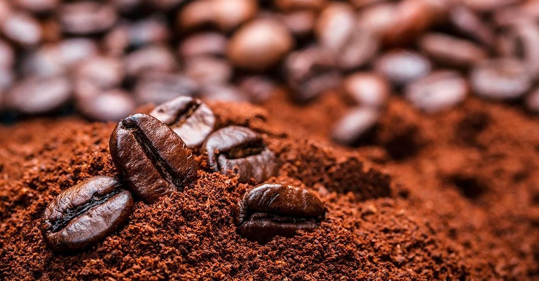Café Agroflorestal Diamante da Chapada MOÍDO GRANEL – 100g Café Agroflorestal Diamante da Chapada MOÍDO GRANEL – 100g