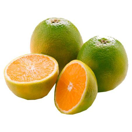 Laranja Pêra Orgânica 500g Laranja Pêra Orgânica 500g