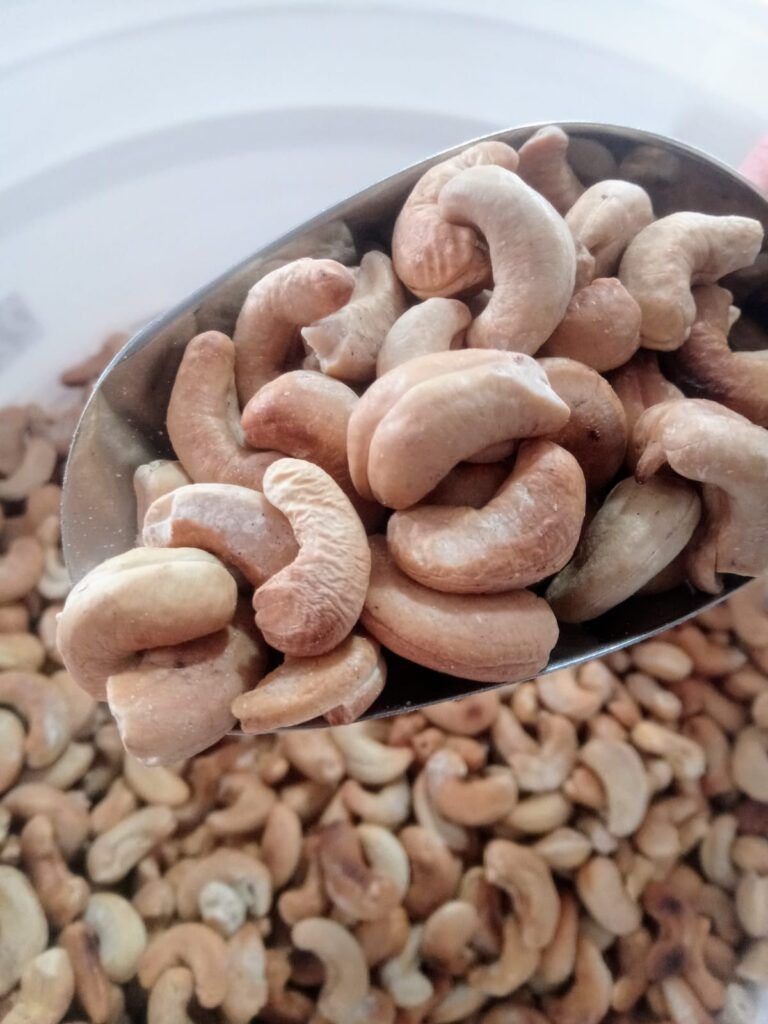 Castanha De Caju TORRADA Orgânica GRANEL - 100g