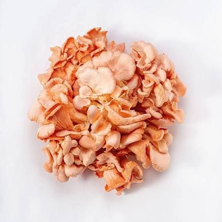 Cogumelo Shimeji Salmão Orgânico 180g