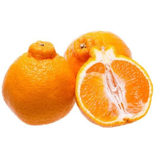 Tangerina Dekopon Orgânica QUASE SEM SEMENTE 500g Tangerina Dekopon Orgânica QUASE SEM SEMENTE 500g