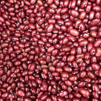 Feijão Vermelho Orgânico - 500G