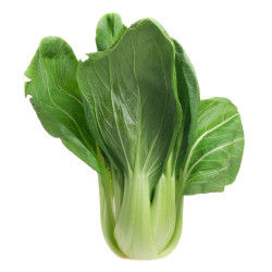 Bok Choy Orgânico (Acelga Chinesa ou Chinesinha)
