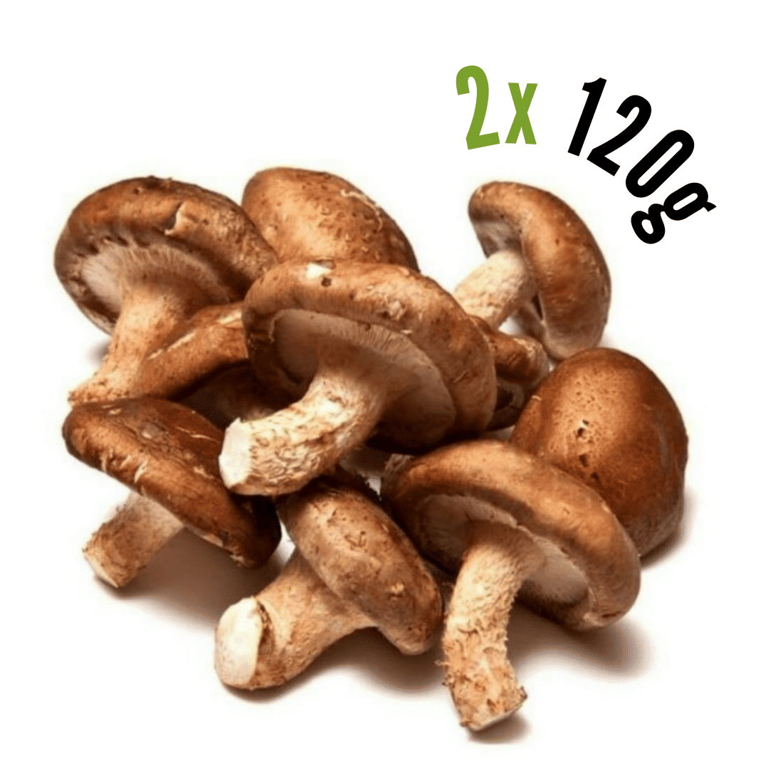 Cogumelo Shiitake Orgânico EM DOBRO - 240g Cogumelo Shiitake Orgânico EM DOBRO - 240g