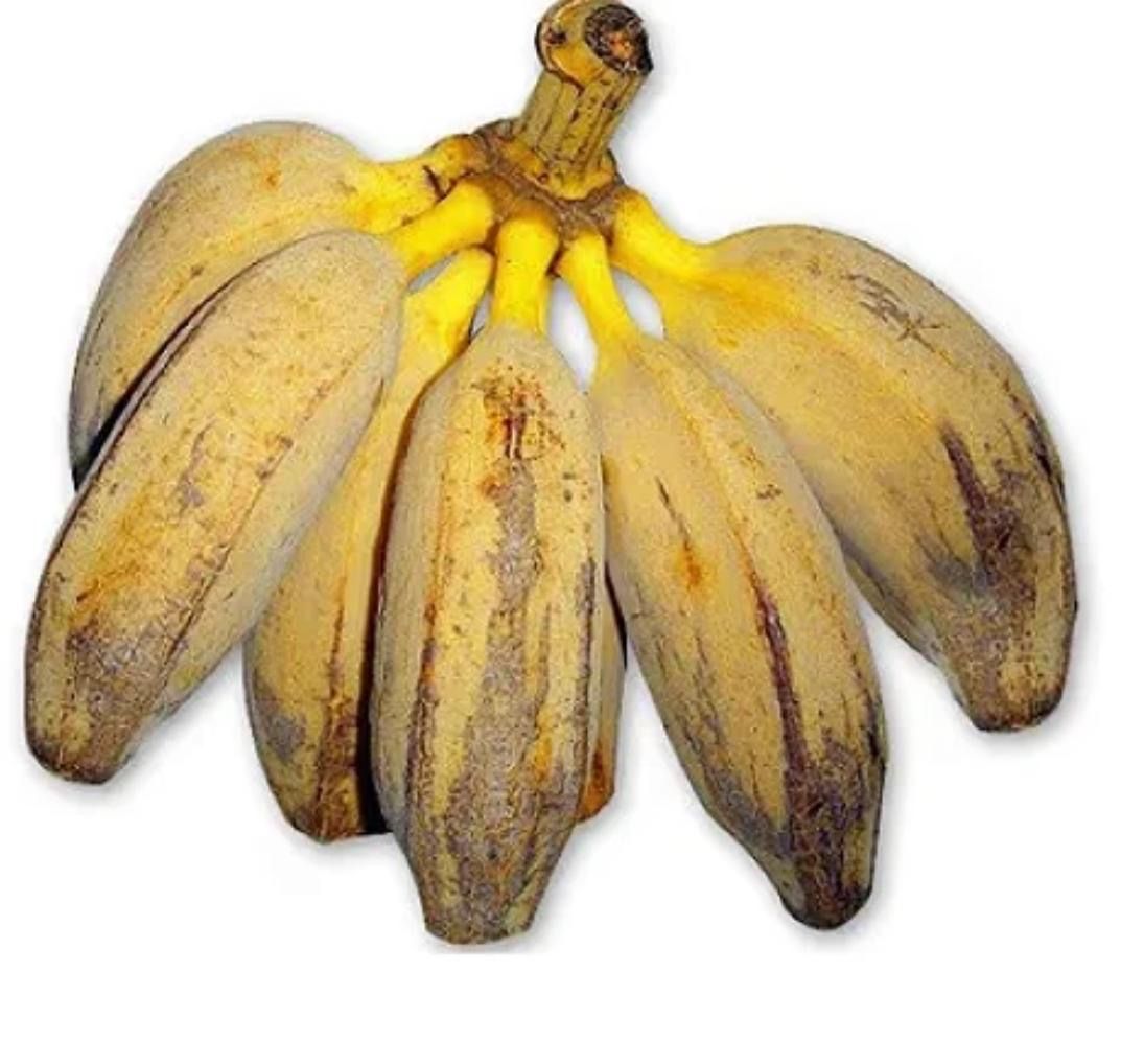 Banana Pão Orgânica - 1Kg