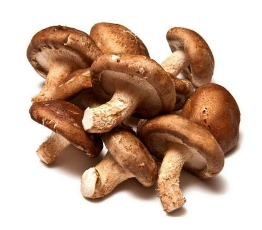 Cogumelo Shiitake Orgânico - 180G Cogumelo Shiitake Orgânico - 180G