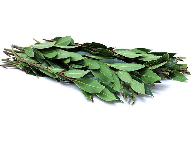 Maço De Louro Orgânico