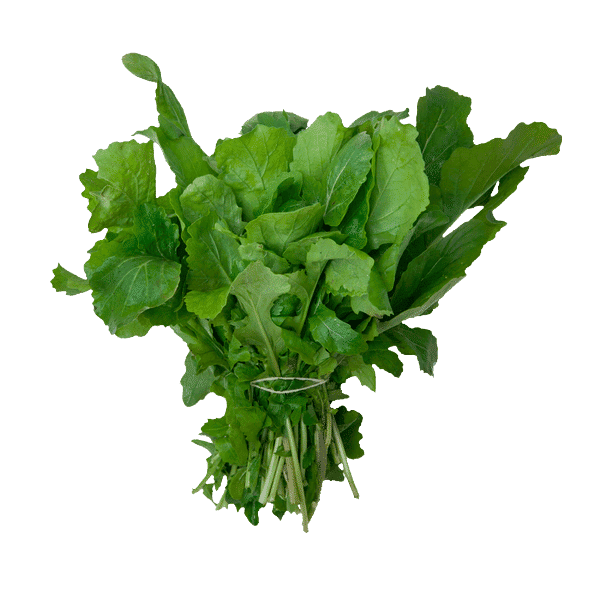 Rúcula Orgânica Rúcula Orgânica