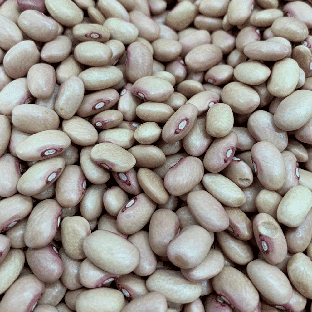 Feijão Rosinha Orgânico 500g Feijão Rosinha Orgânico 500g