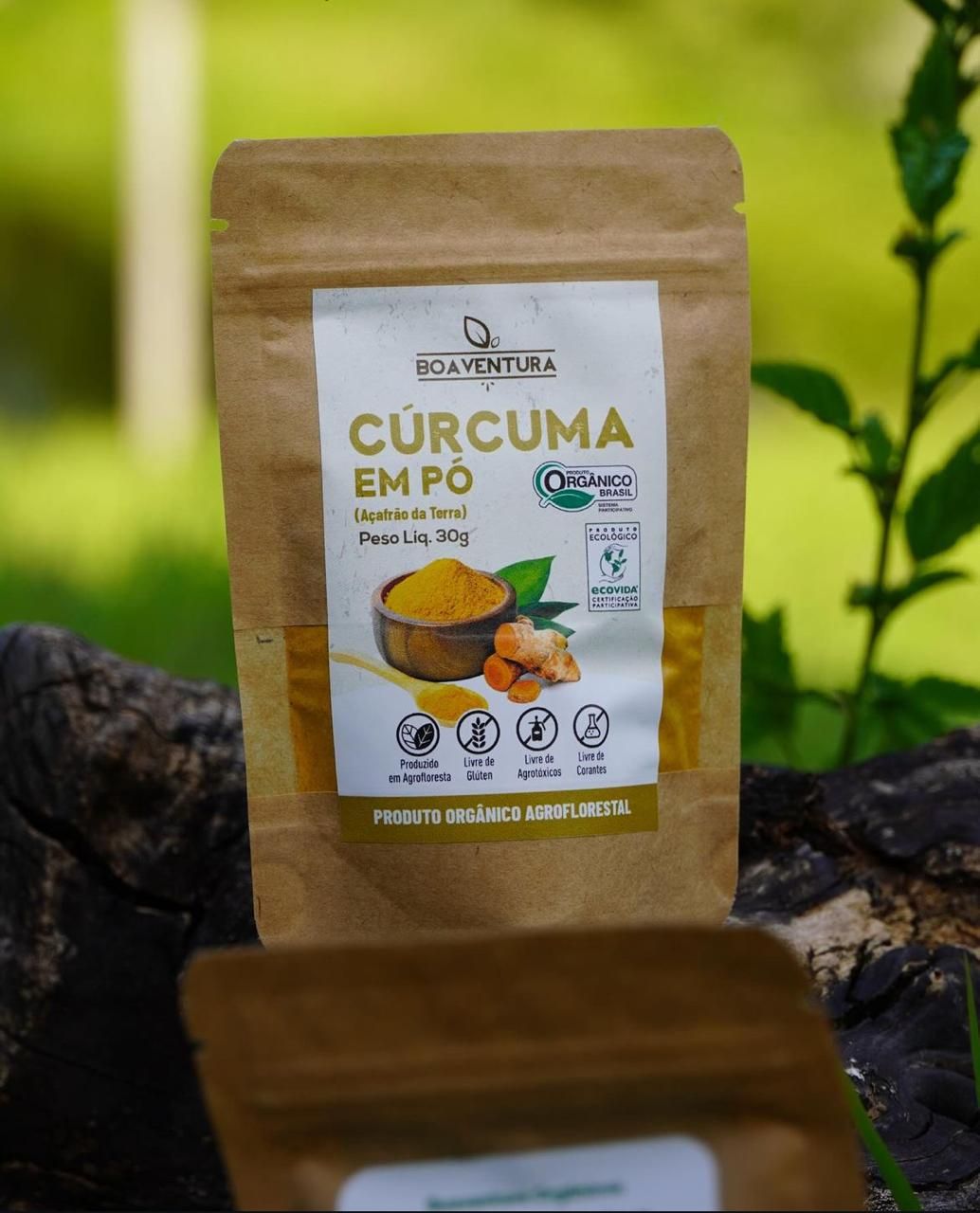 Açafrão em Pó Orgânico - 30g Açafrão em Pó Orgânico - 30g