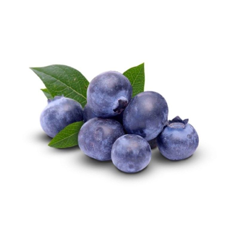 Mirtilo Orgânico 100G - Bdj Mirtilo Orgânico 100G - Bdj