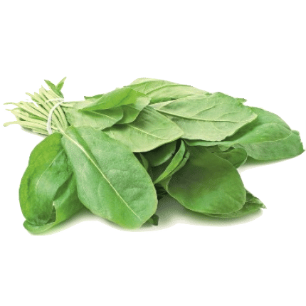 Azedinha Orgânica (100gr.)