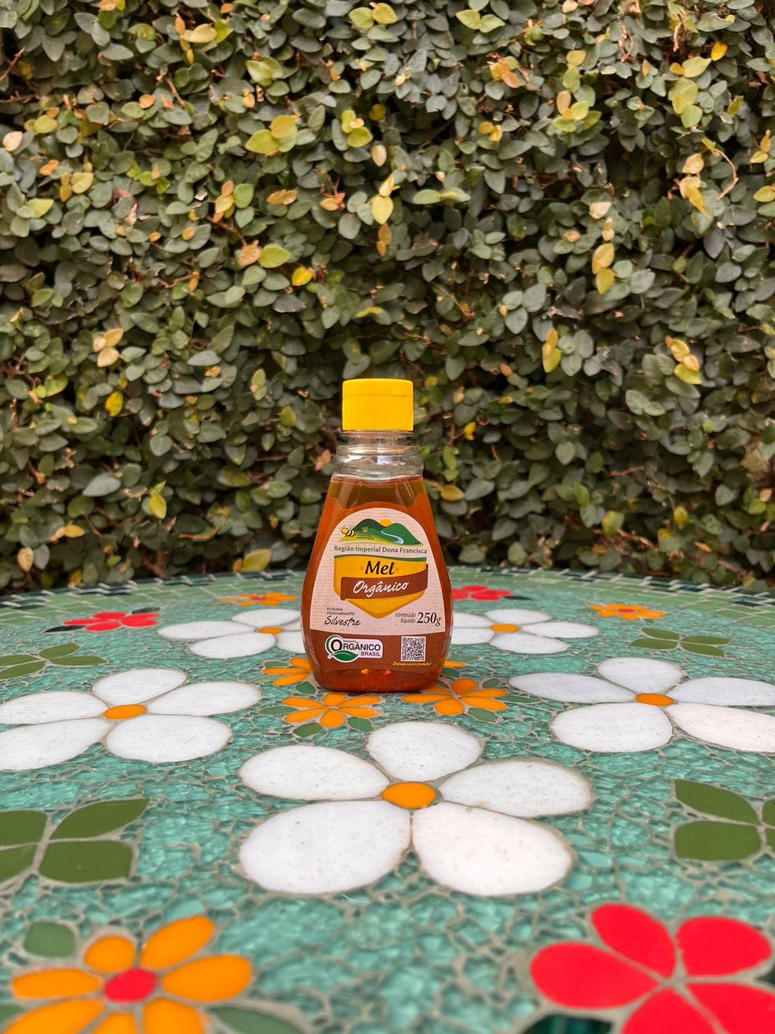 Mel Orgânico Bisnaga (250gr.) Mel Imperial Dona Francisca