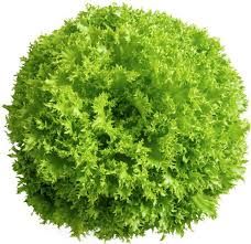 Alface Frisée Orgânica (un.)