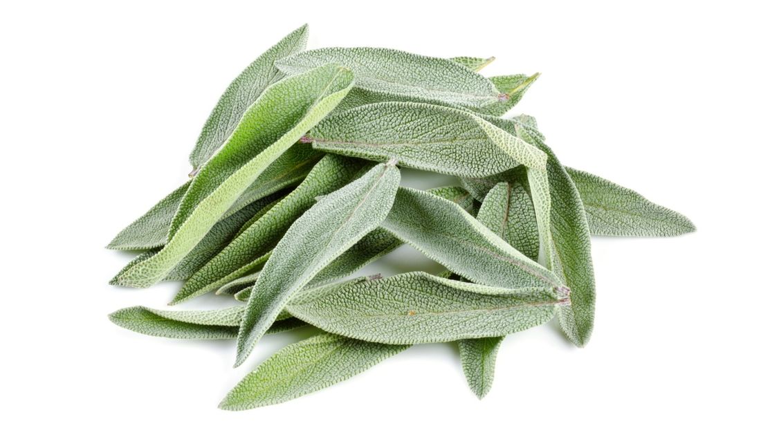 Salvia Orgânica (20gr.)