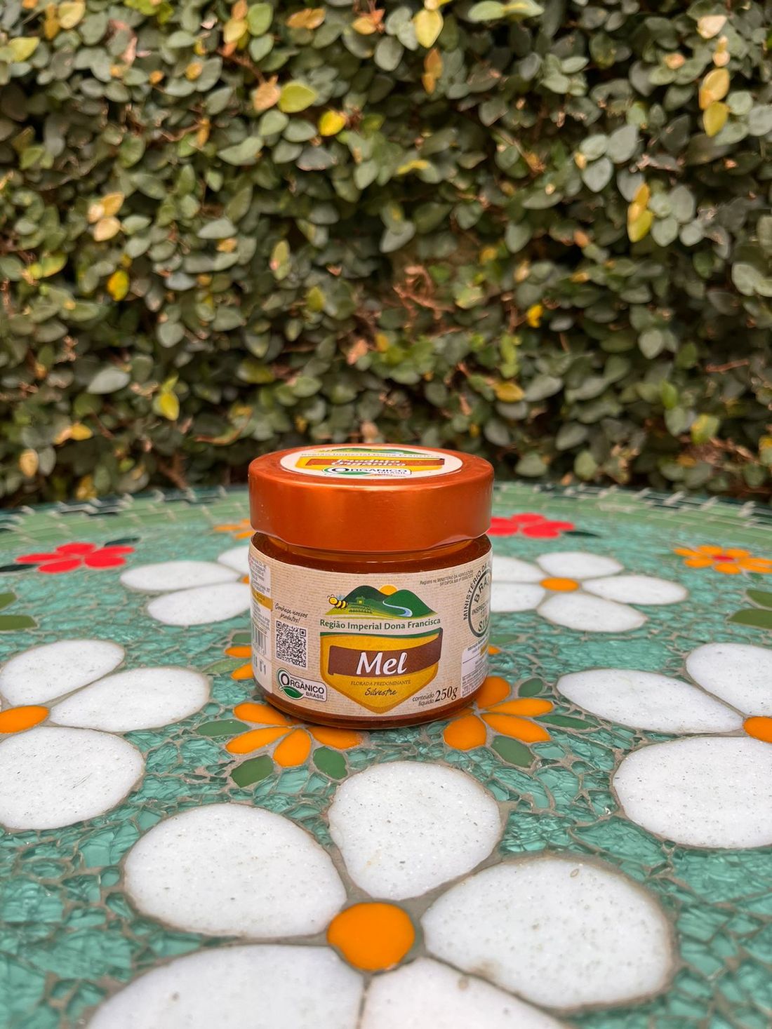 Mel Orgânico Pote Vidro (250gr.) Mel Imperial Dona Francisca