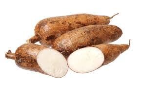 Mandioca Orgânica (kg.)