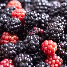 Amora Orgânica (100gr.)