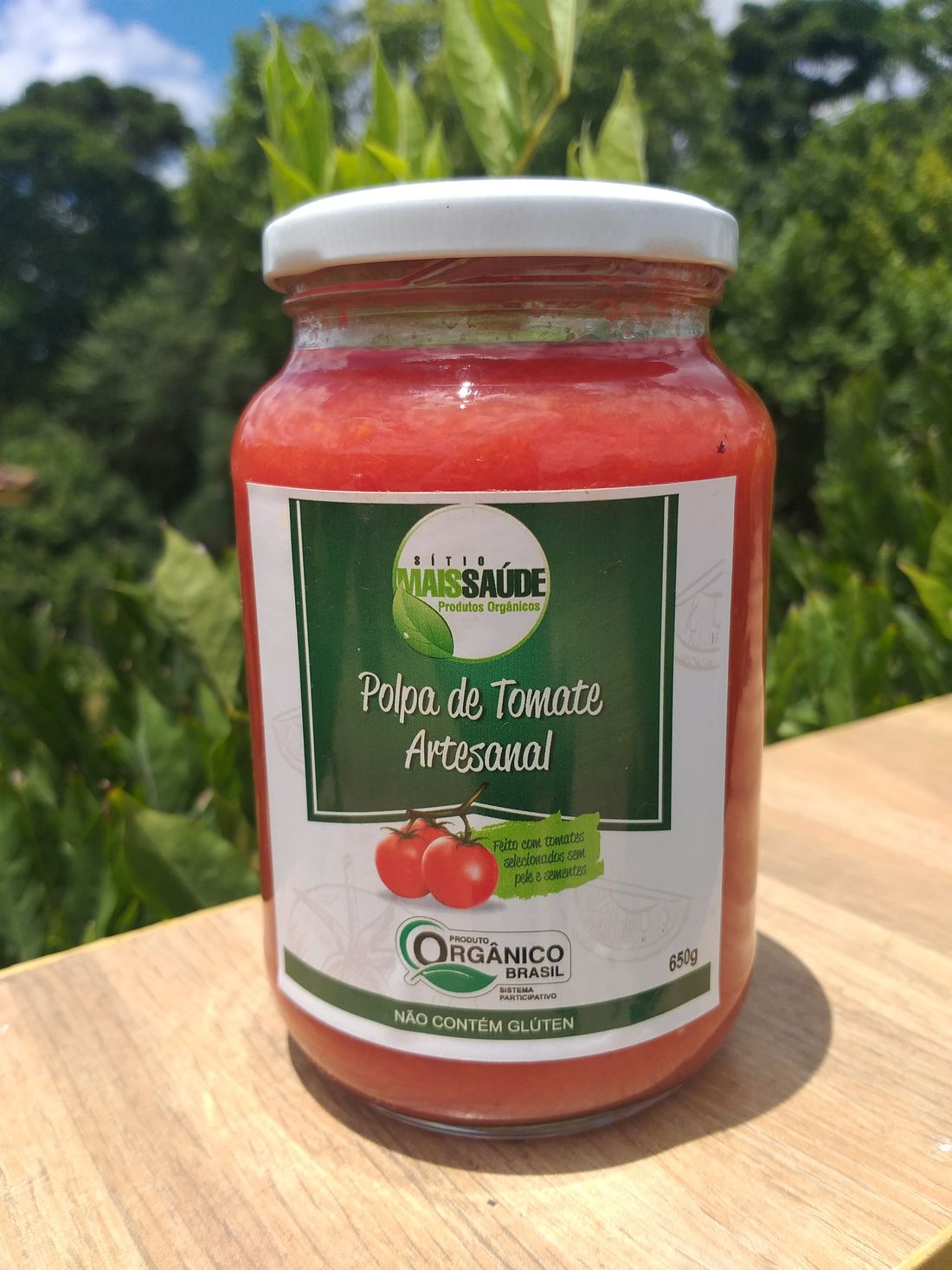 Polpa de Tomate Orgânico (550gr.)