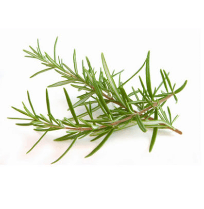 Alecrim Orgânico (10gr.)