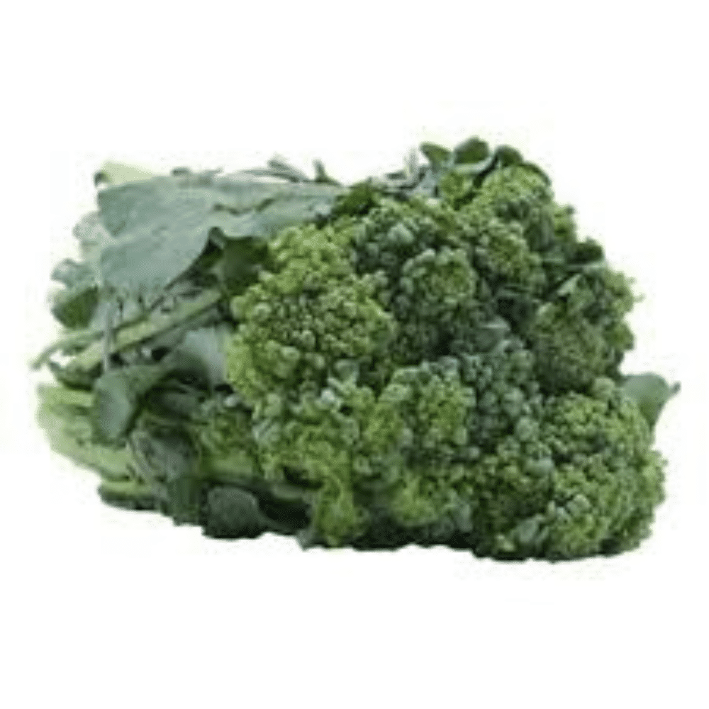 Brócolis Ramoso Orgânico