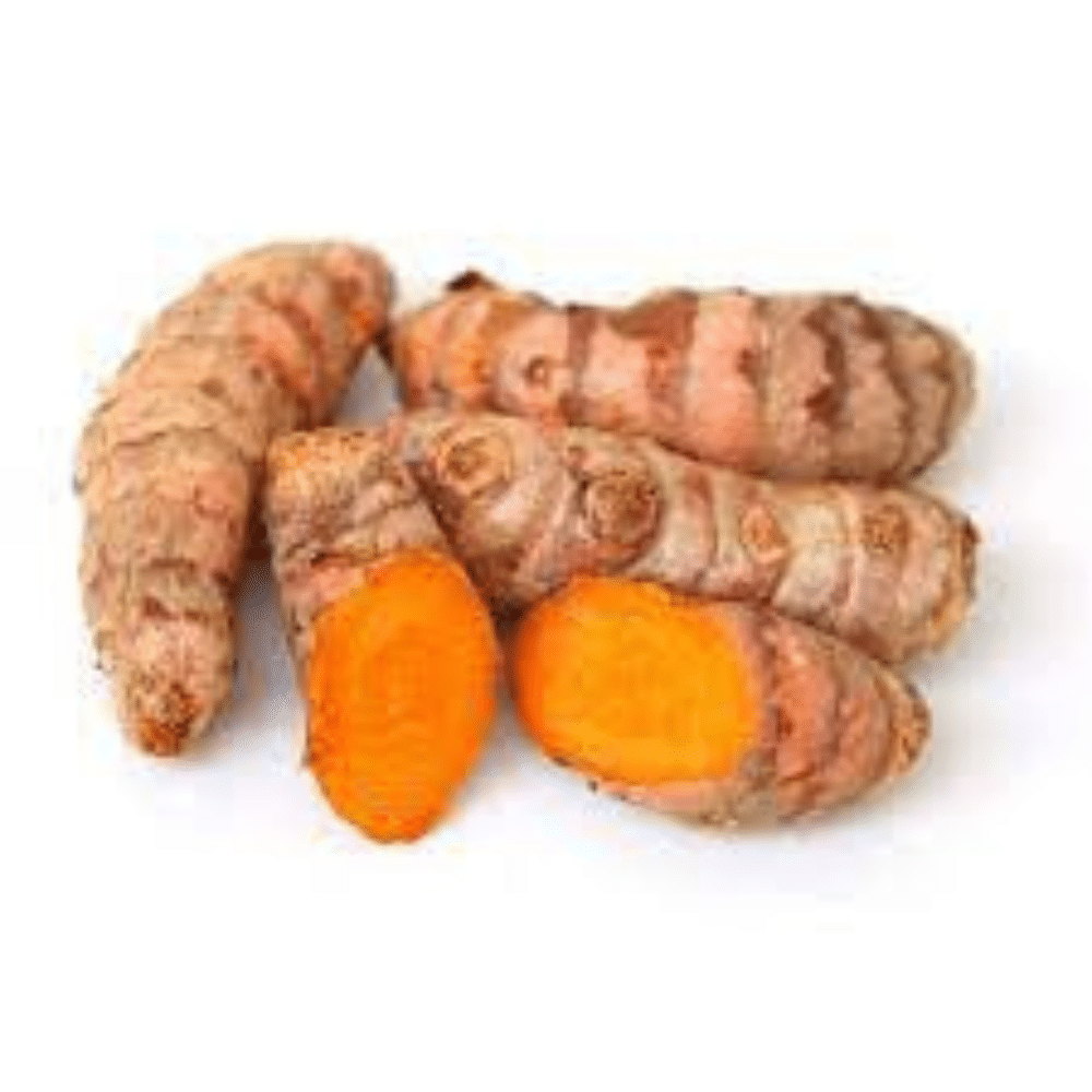 Cúrcuma Orgânica Cúrcuma Orgânica