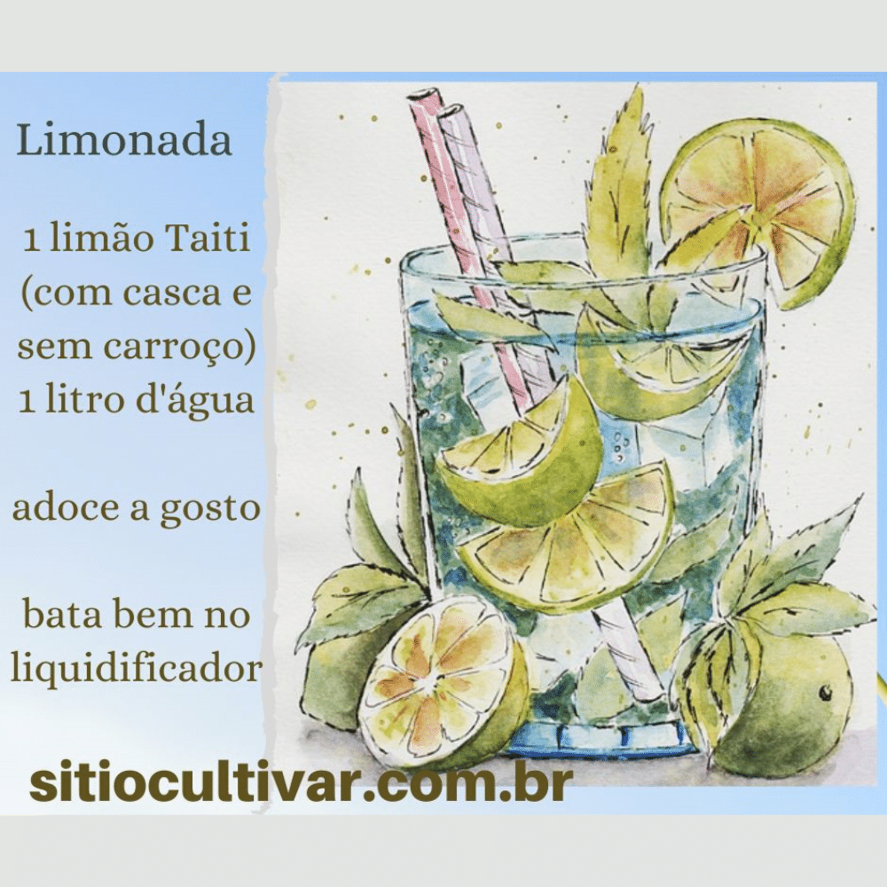 Limão Taiti Orgânico Limão Taiti Orgânico