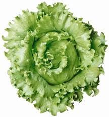 Alface Americana Orgânica