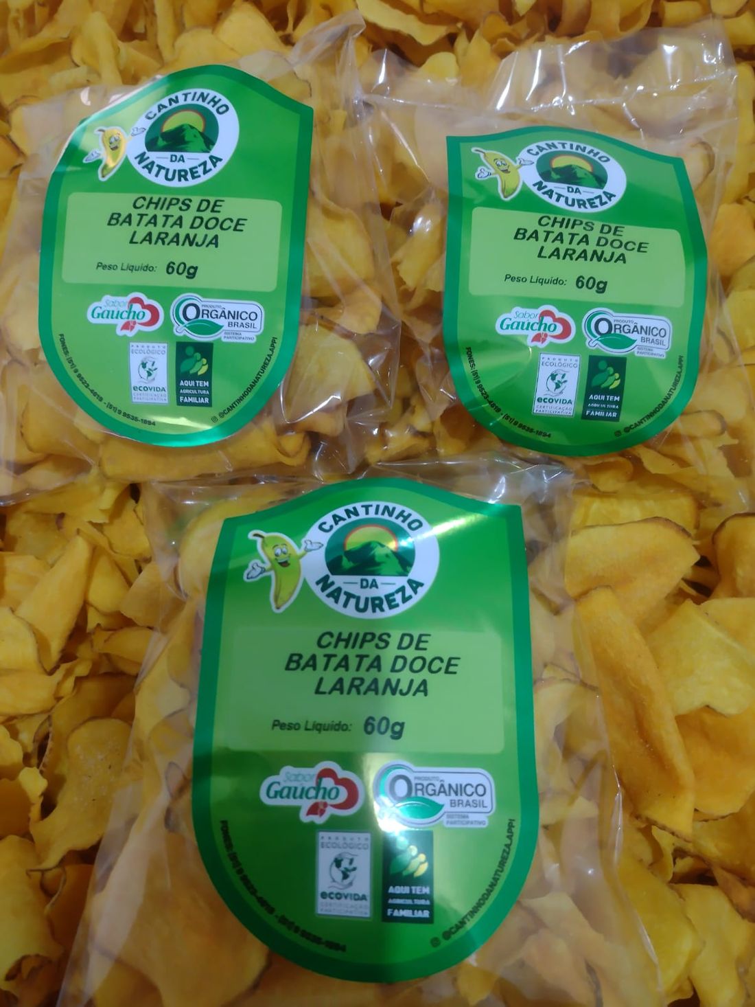 Chips de Batata Doce Laranja Orgânica
