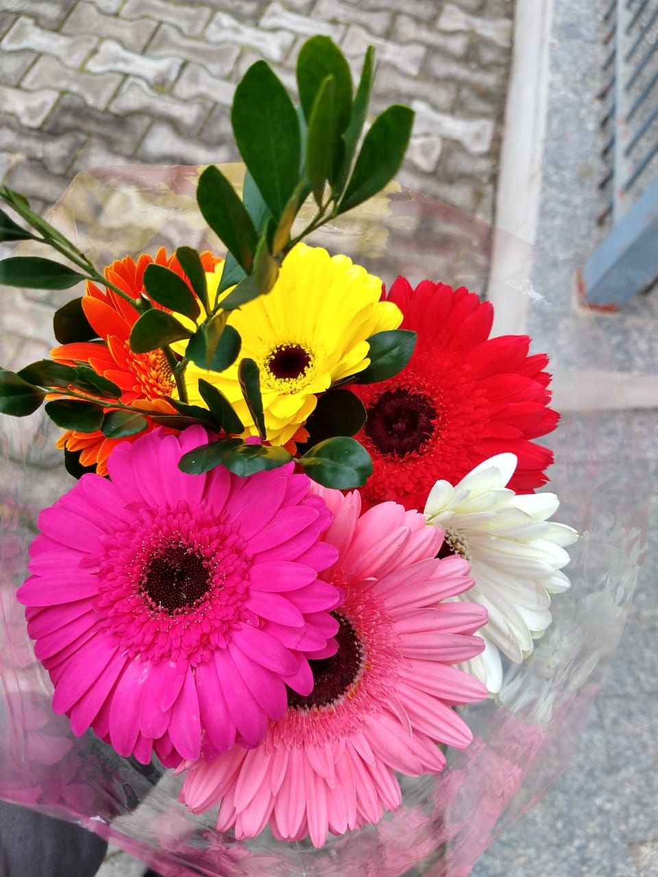 Buquê de Flores Gérbera Mix de Cores