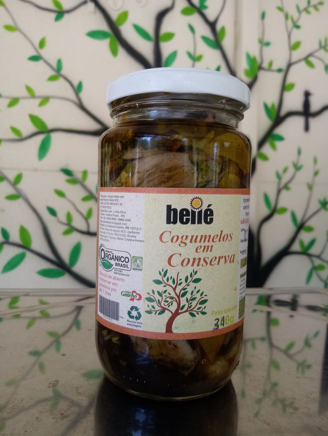 Cogumelos em Conserva Orgânico