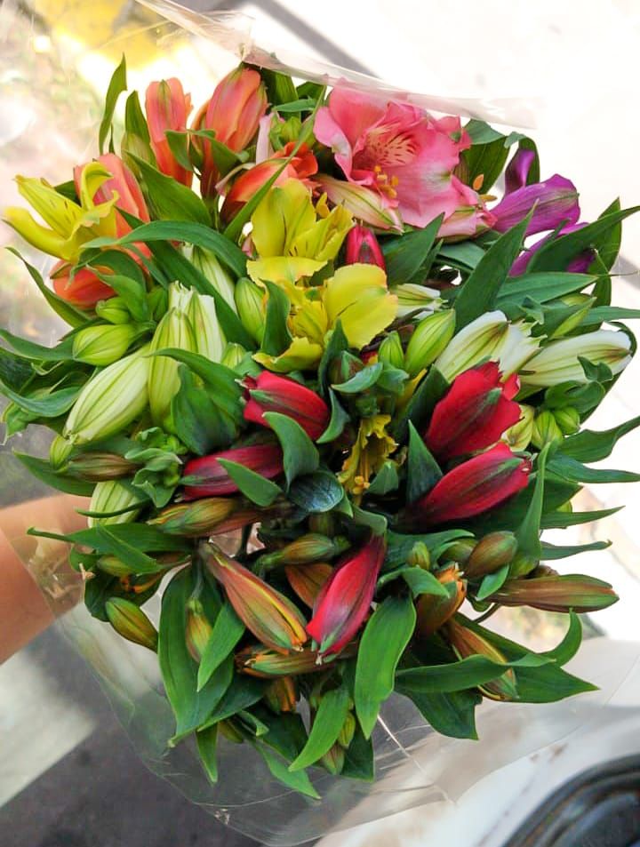 Buquê de Flores Astromelia Mix de Cores