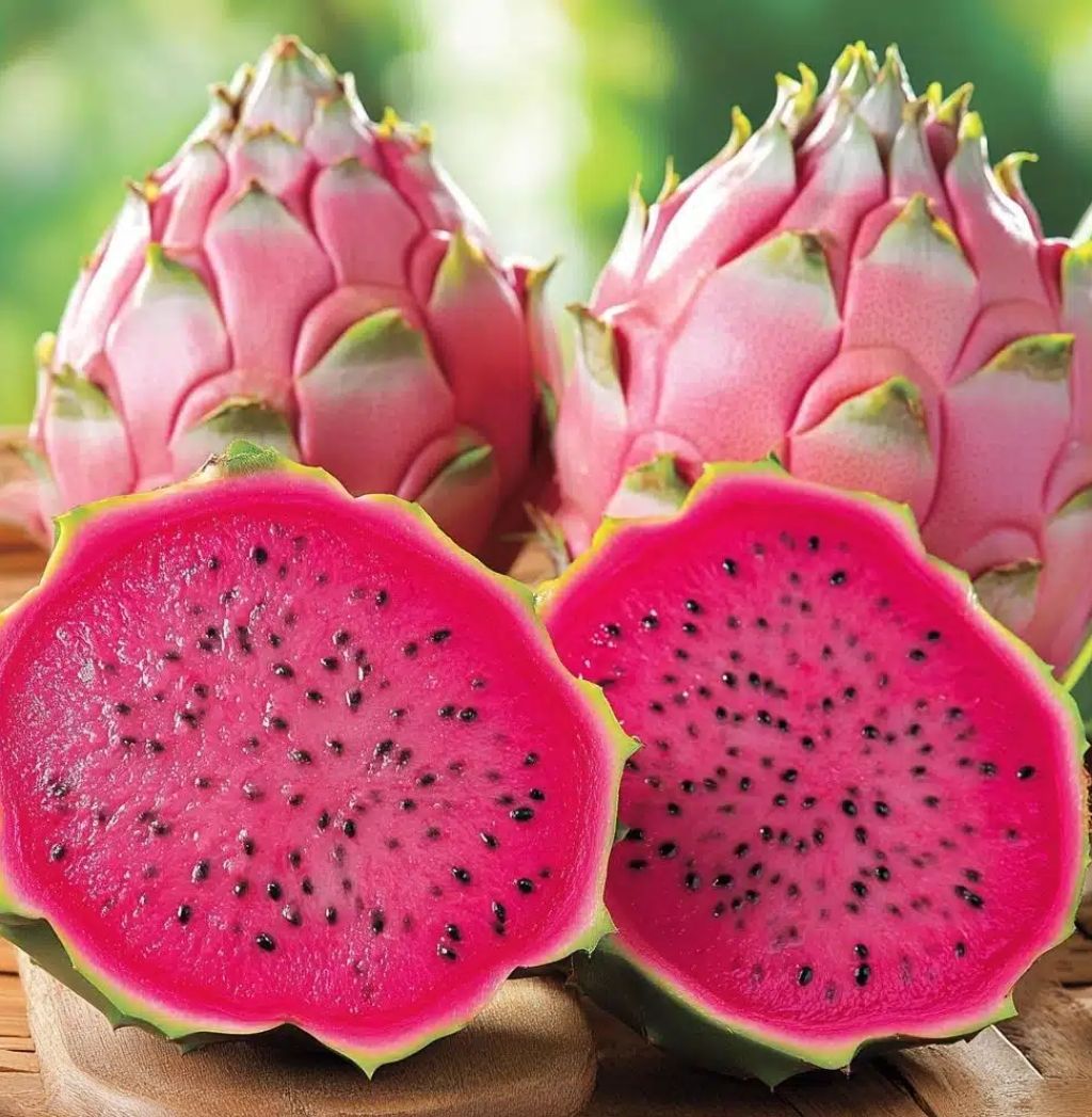 Pitaya Pink Orgânica