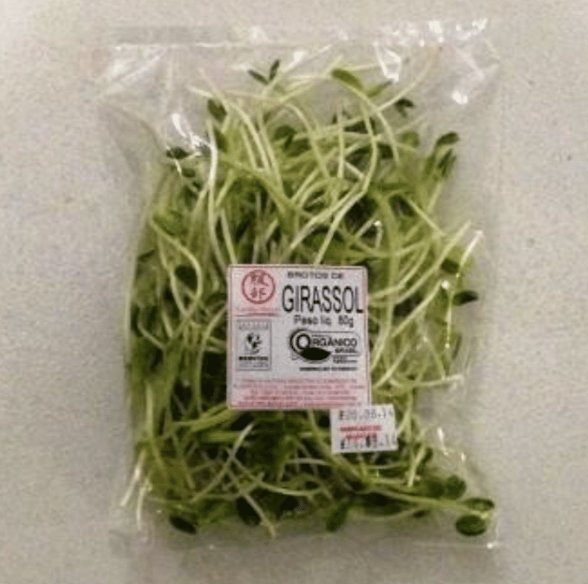 Broto de Girassol Orgânico