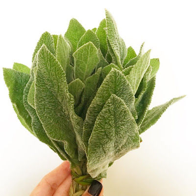 Peixinho da Horta Orgânico