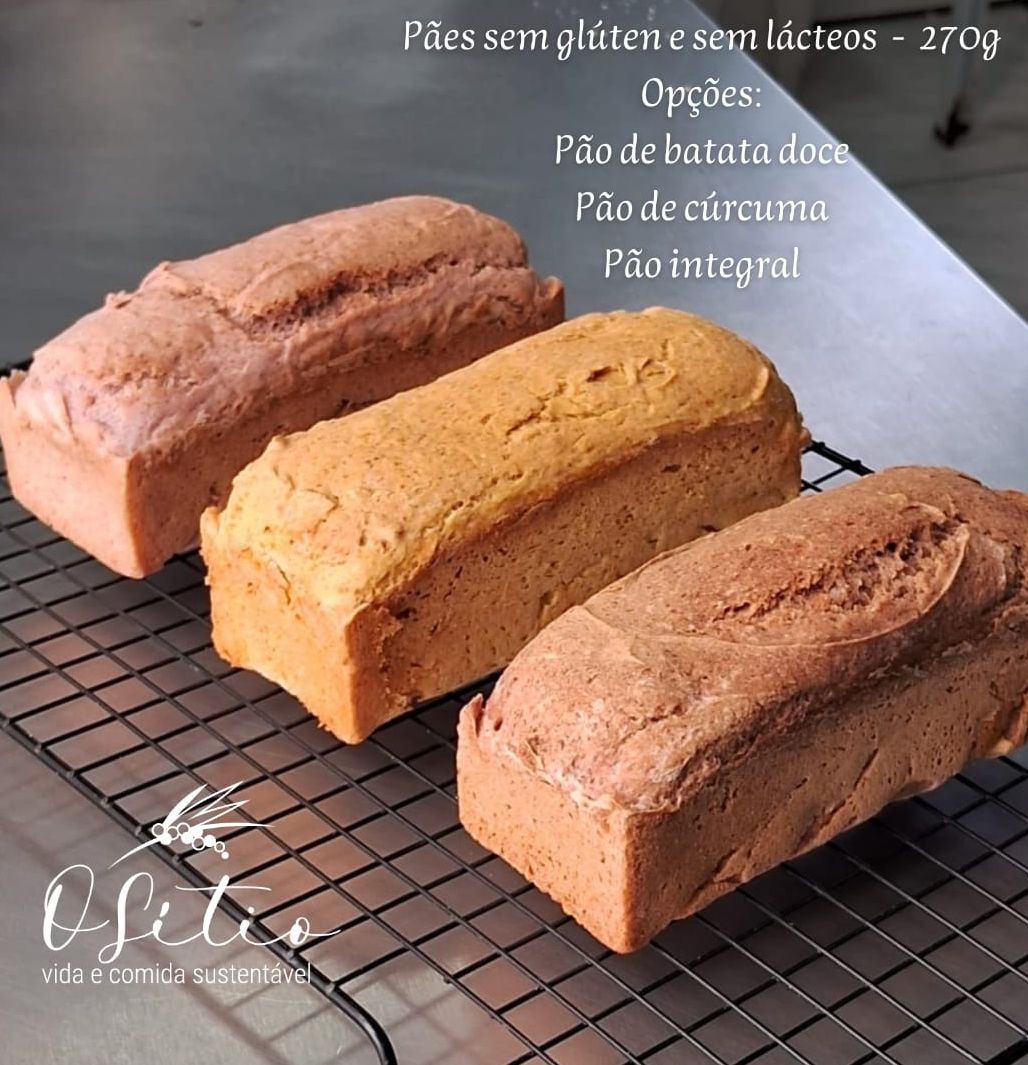 Pão Integral Orgânico s/ glúten s/ lactose