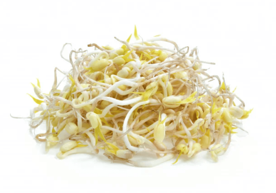 Broto de Feijão Orgânico