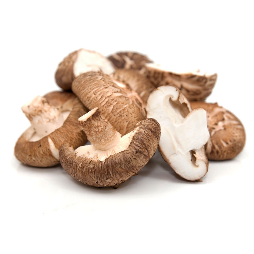 Cogumelo Shiitake Orgânico Cogumelo Shiitake Orgânico