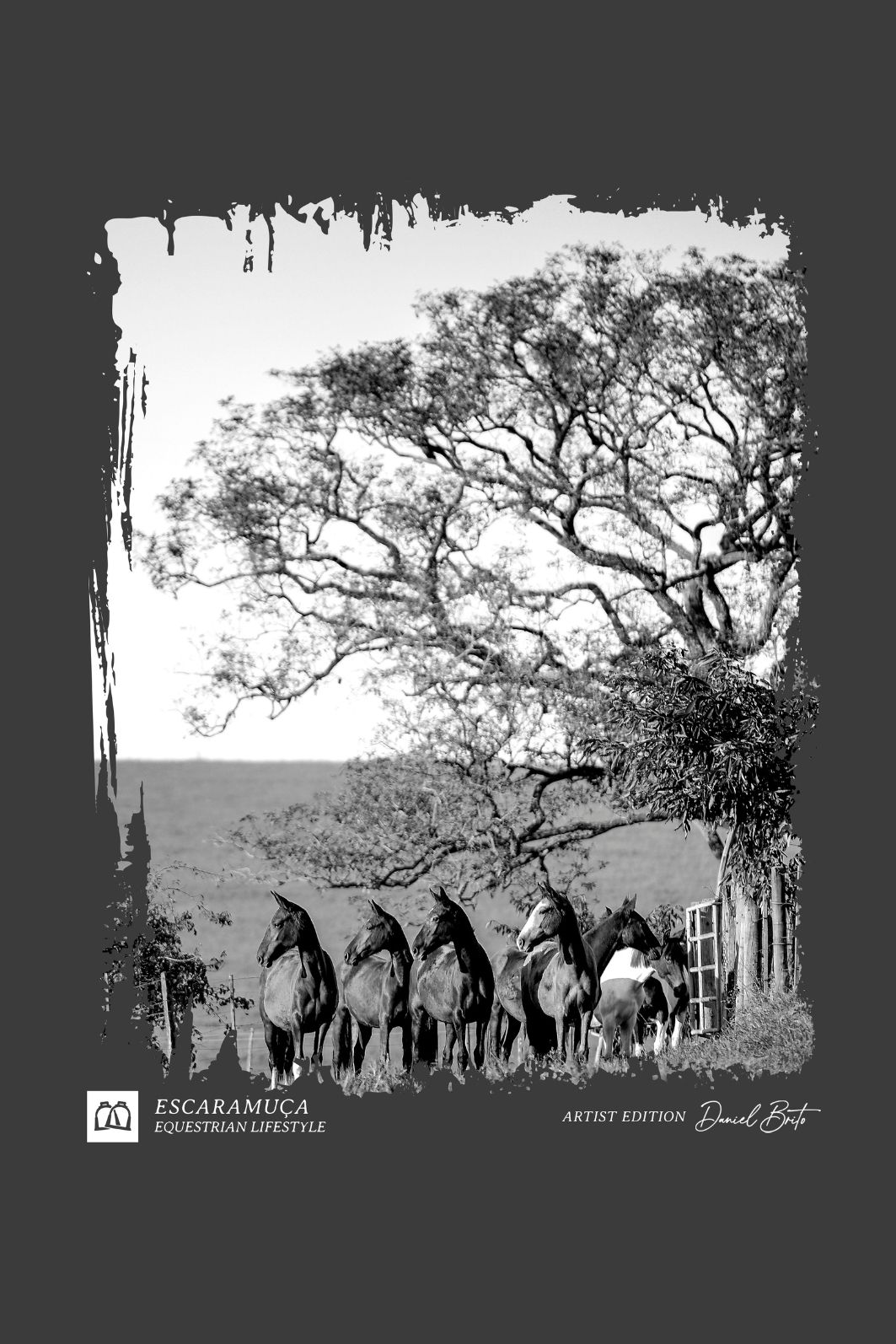 CAMISETA VIDA EQUESTRE CHUMBO - M113 CAMISETA VIDA EQUESTRE CHUMBO - M113