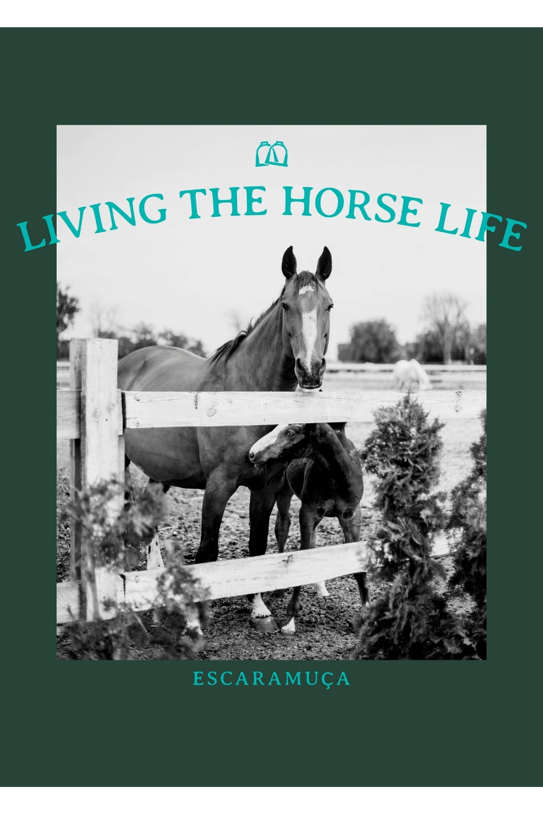CAMISETA FEM HORSE LIFE - VERDE - F210 CAMISETA FEM HORSE LIFE - VERDE - F210