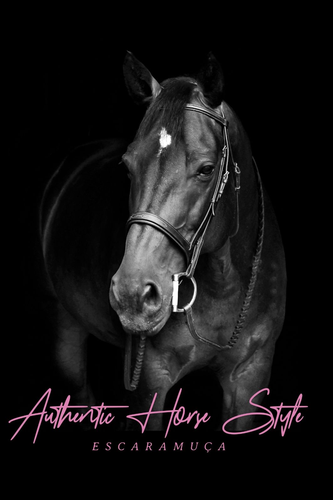 CAMISETA AUTHENTIC - 1F184 CAMISETA AUTHENTIC - 1F184