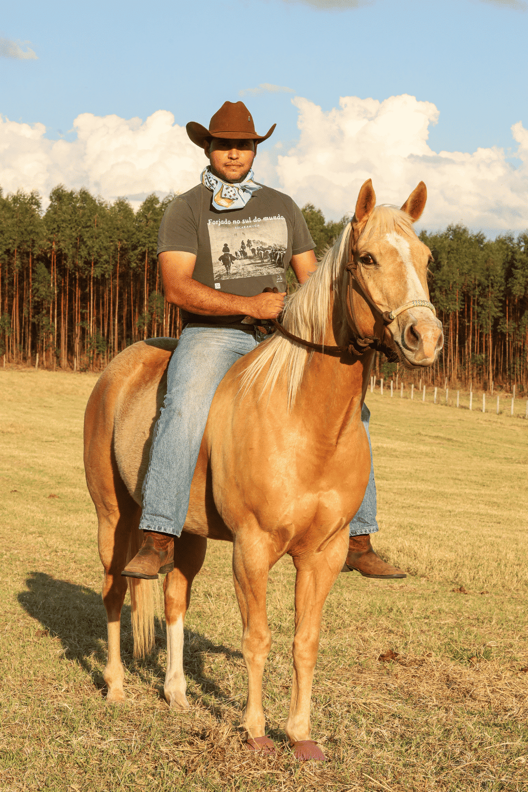 CAMISETA STONE TROPEIROS - 1M105 CAMISETA STONE TROPEIROS - 1M105