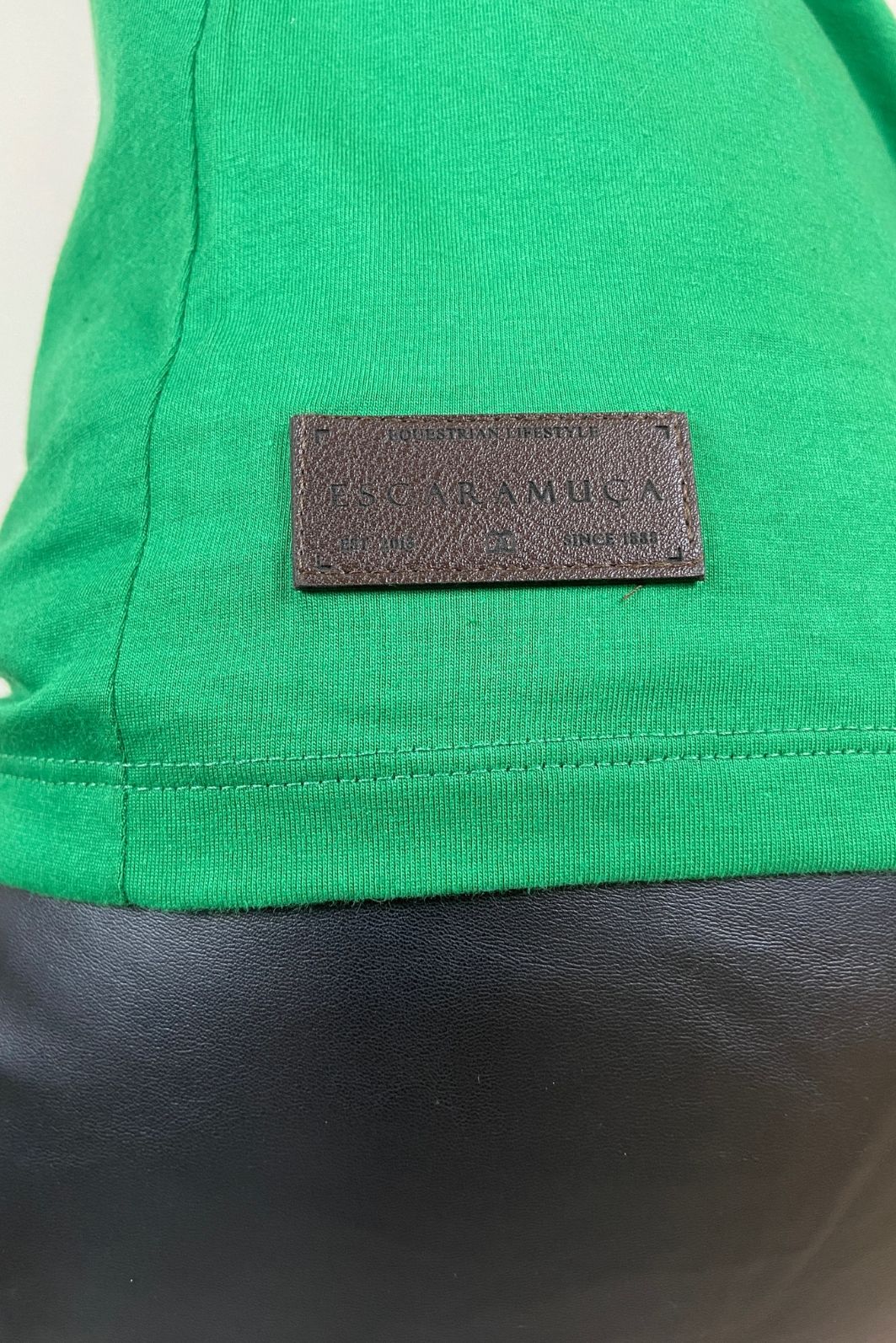 CAMISETA FEMININA CAVALOTERAPIA - 1F194 CAMISETA FEMININA CAVALOTERAPIA - 1F194