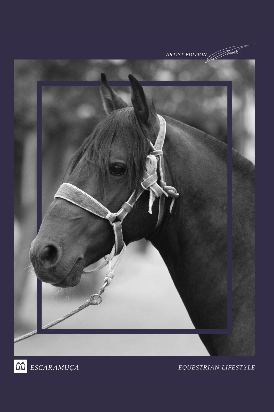 CAMISETA CRIOULO DO SUL - 1M107 CAMISETA CRIOULO DO SUL - 1M107