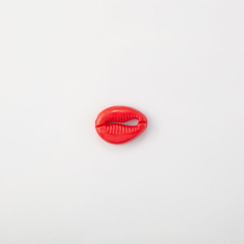 102.540 - BÚZIOS COM 10 UN. 102.540 - BÚZIOS COM 10 UN.