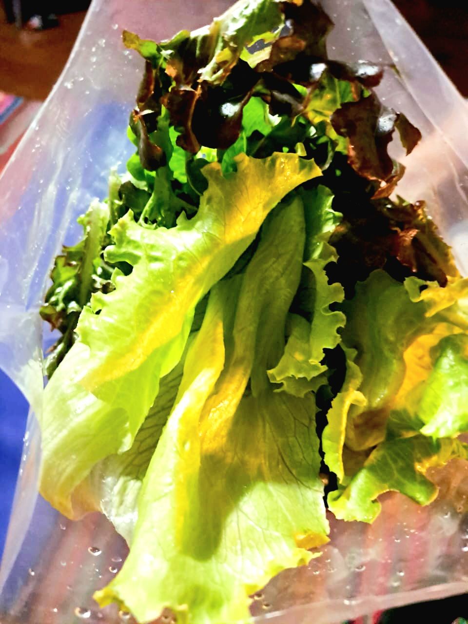 Salada higienizada de alface americana + alface mimosa (200g)