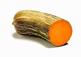 Abóbora de pescoço