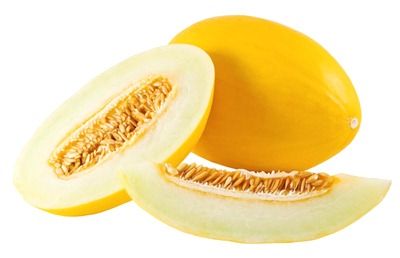 Melão Orgânico